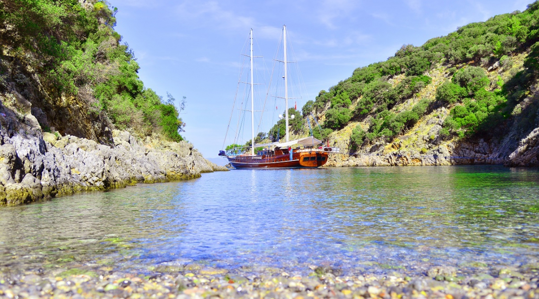 Lycian Queen (10)